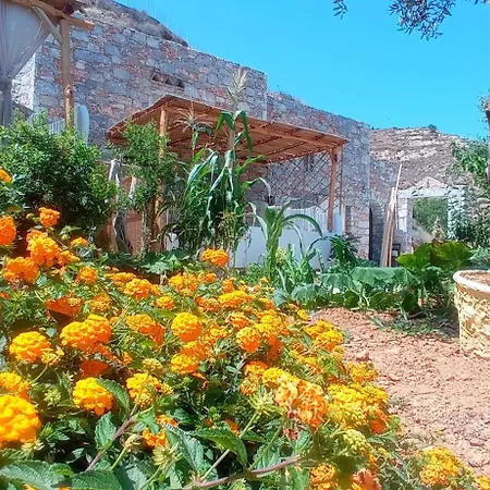 Guest house Aliori Art Caves Aegiali